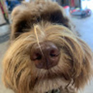 Meet your Posher, Ella